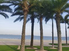 -黄金海岸环岛路