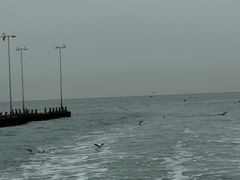 -日照世帆赛基地