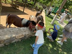 -静之湖湖畔餐厅