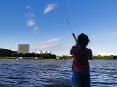 -大兴滨河森林公园