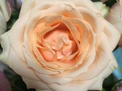 -万达广场(南京江宁店)