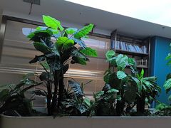 -悦海·家宴·冰花皮皮虾大锅贴(宝龙店)