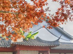 -苏州卫生职业技术学院(石湖校区)