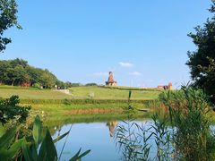 -大塘金香草谷