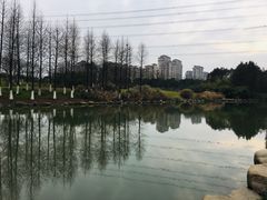 -九里河湿地公园