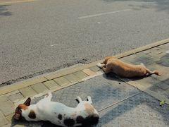 -悟饮门市景店