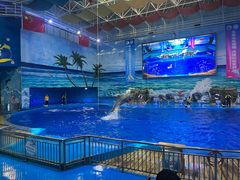 -多彩贵州城极地海洋世界