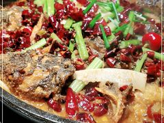 -老板恋上鱼(高新万达店)