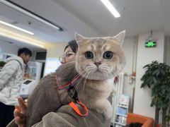 -全心全意动物诊疗中心医院(北苑店)