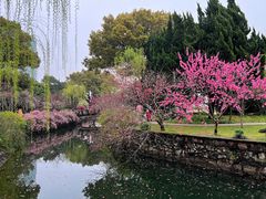 -无锡蠡湖国家湿地公园-蠡园