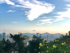 -板樟山森林公园