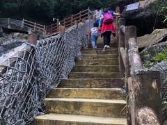 -广州白江湖森林公园