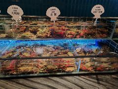 -雍容荟帝王蟹活龙虾展台自助(IFS黑金店)