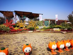 -上海长兴岛郊野公园