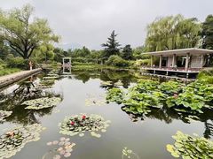 -国家植物园南园