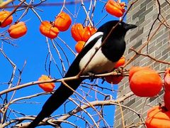 -东亿天弘演播大厅