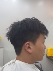 -YESIDO椰岛造型