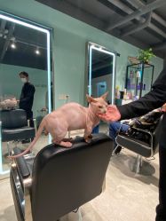 -Will+ Hair Studio
