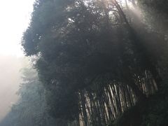 -天芳悦潭度假村温泉