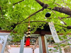 -VOYAGE COFFEE(杨梅竹店)