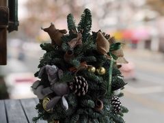 -花到家(富贵鸟花艺行)