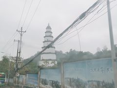 -老幺泉水鸡