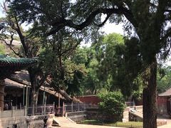 -晋祠公园
