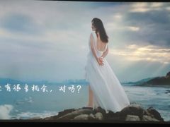 -枫花园汽车电影院(朝阳公园店)