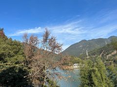 -原乡芦茨咖啡