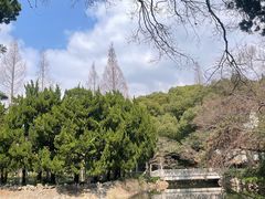 -叶家花园