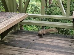 -苍山感通索道