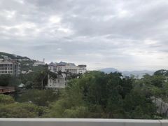 -杨梅坑