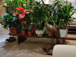 -至爱至信新中式SPA疗愈会所