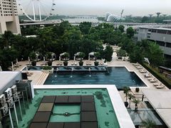 -新加坡文华东方酒店