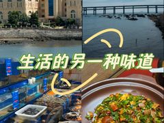 -日月昇渔家菜·海肠捞饭·大连海鲜(星海公园店)