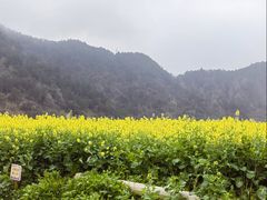 -新安江山水画廊风景区
