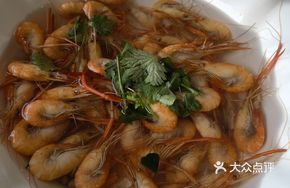 Saltwater Lake Shrimp
