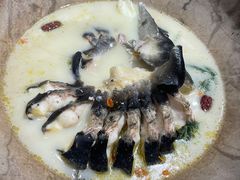 -滇小鱼·云南野生菌火锅(上杭路店)