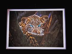 -罗红摄影艺术馆