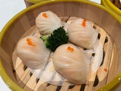 -醉辉皇原味海鲜江南菜(成都大魔方店)