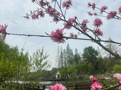 -常德桃花源景区