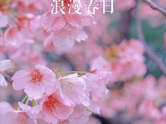 -静安雕塑公园
