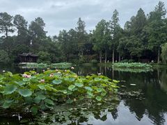 -西湖游船