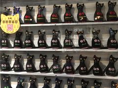 -猫咪博物馆(顶澳仔猫街店)