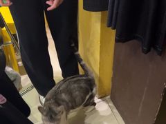 -谜盒子奇幻密室(南屏店)
