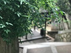 -湖南省立第一师范学校旧址