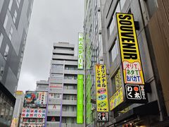 -秋叶原电器街