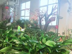 -兴芮温泉度假区