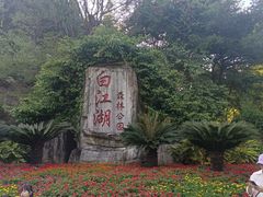 -广州白江湖森林公园