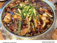 -乡土特色.冷锅鱼.牦牛肉汤锅